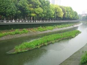 Îlots flottants pour traiter l'eau de ses polluants et de ses nutriments_0