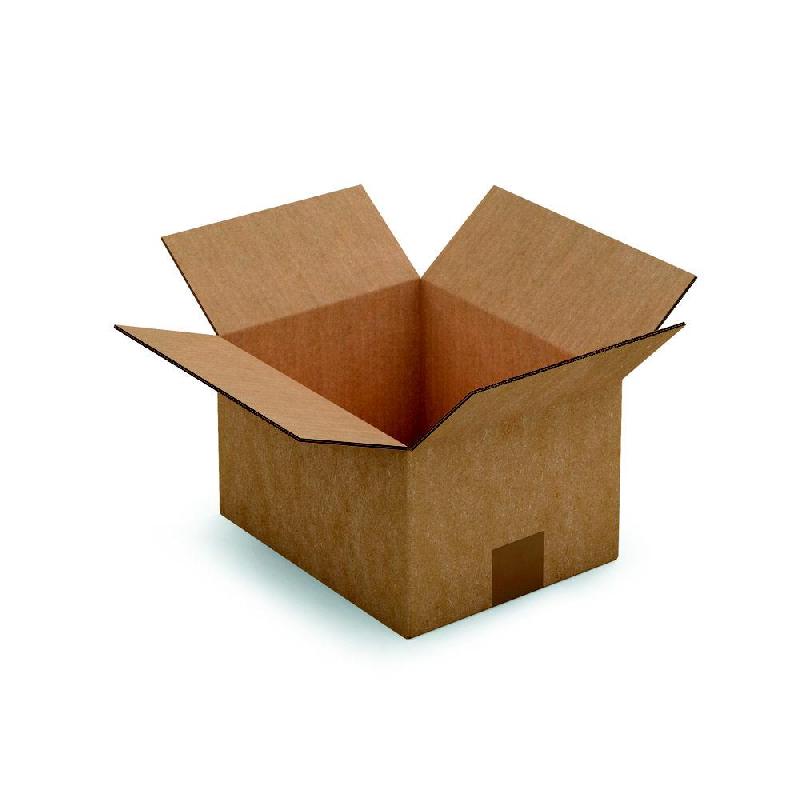 CAISSE AMERICAINE RAJA CARTON DOUBLE CANNELURE - L.INT. 25 X L.20 X H.15 CM - KRAFT BRUN - LOT DE 15