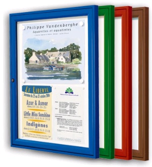 Vitrine simple face tradition - cadre aluminium 30mm - vitrage Plexichocs 4mm - anodisé ou peint RAL_0