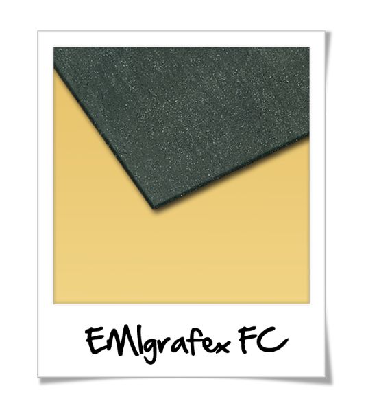 Joint EMIgrafex FC - Graphite pur expansé avec armature double picots AISI 316 - Applications haute température_0