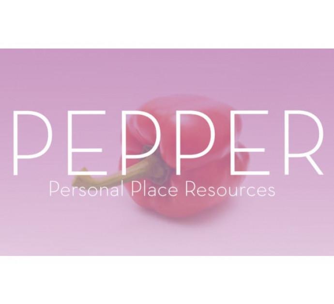 License pepper - 1 an réf.20529