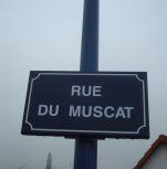 Panneaux d'affichage extérieur plaques de rues_0