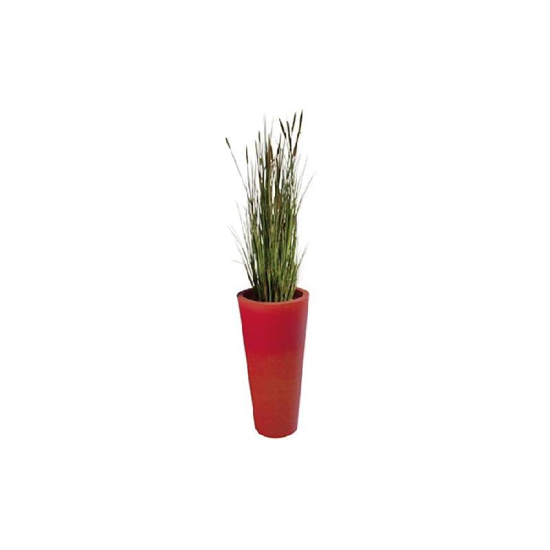 ZANICHELIE artificielle en bac rond en plastique_0