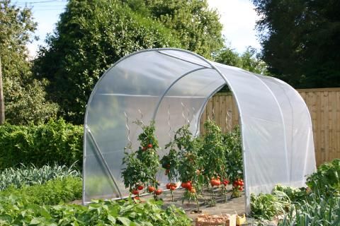 Bâche Tomstore - Bâche de remplacement pour serres à tomate 2x4m - Polyane celloflex 200 microns_0