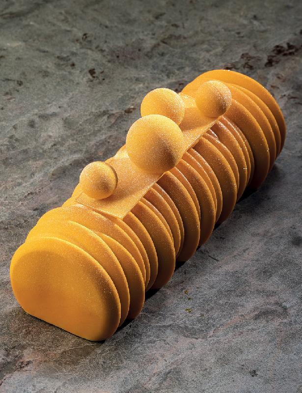 Sequoia - Moule en silicone bûche Pavoni Italia_0