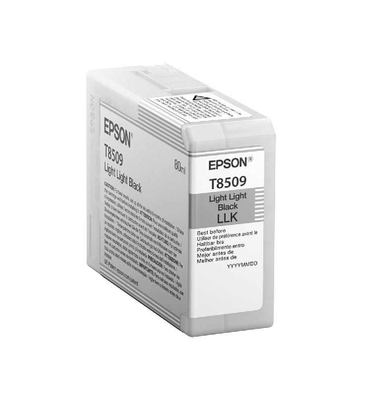 Epson Singlepack Light Light Black T850900_0