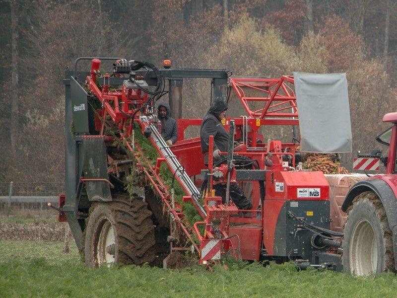 Arracheuse par préhension GCCI - Dewulf BV - Longueur 11655 mm - Capacité élevée et système de transport innovant_0
