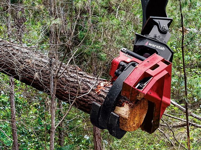 Fl95 - tête d'abattage Waratah - poids net 2620 kg/5 776 lb - adaptée aux pentes abruptes avec boîtier de scie rétractable_0