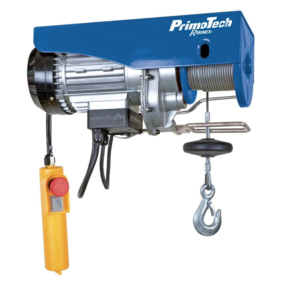 Palan PE100/200PT Ribimex - Capacité 100 à 200 kg - Moteur 480W avec poulie de mouflage_0