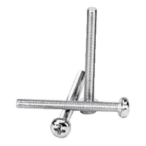 VIS À MÉTAUX - POZIDRIV - TÊTE CYLINDRIQUE BOMBÉE - 6X60MM - 200 GFD
