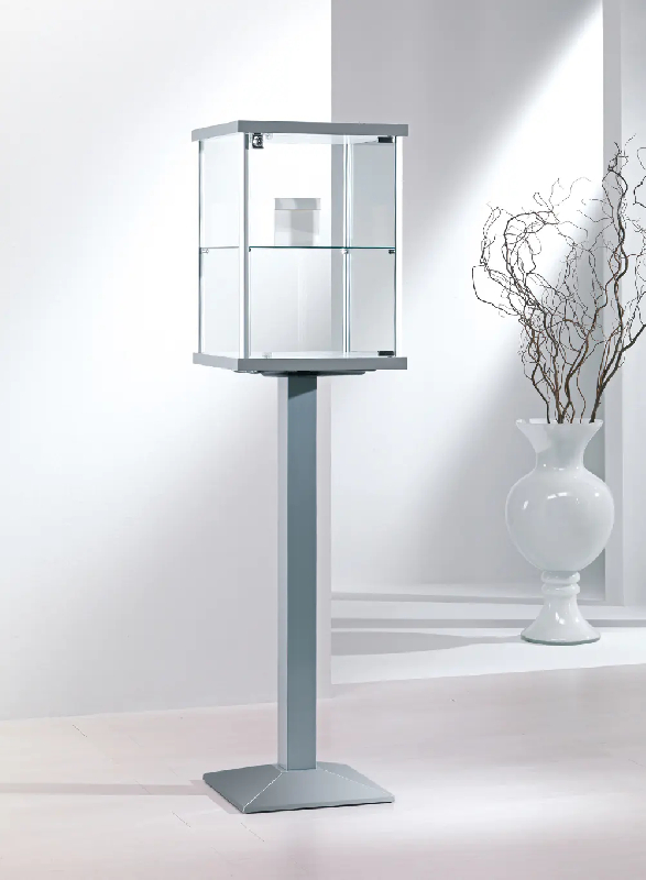 Vitrine haute sur pied 2-pfva_0