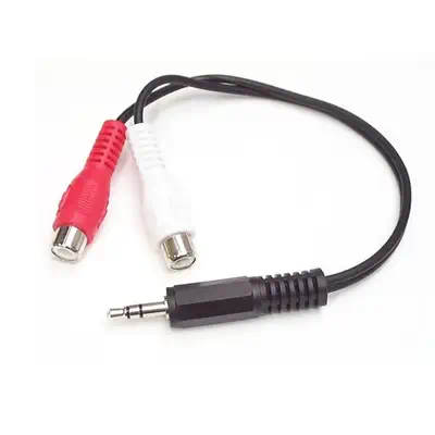 StarTech Cble Adaptateur Audio Mini-Jack 3.5mm Mle vers_0