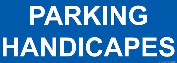 LOT DE 3 - PANNEAU ACCÈS AVEC PICTO PMR - 150 X 210 - VINYLE SOUPLE AUTOCOLLANT