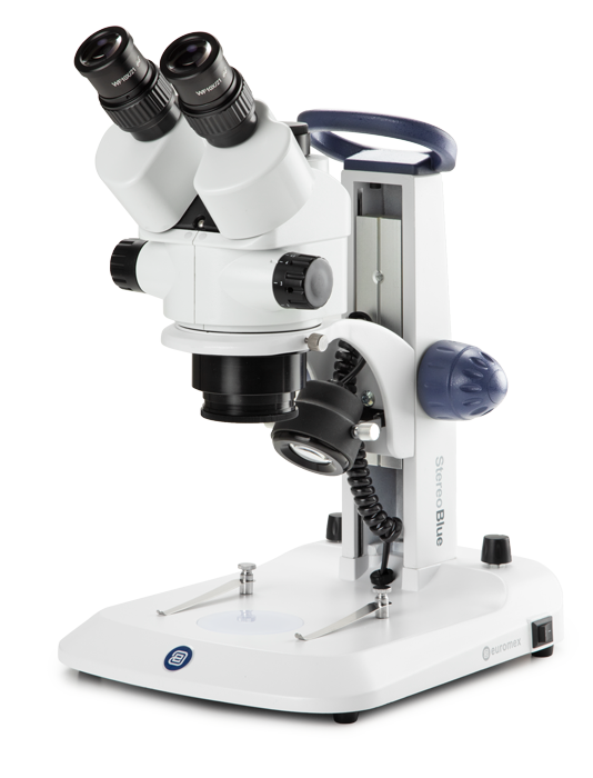 Stéréomicroscope StereoBlue - Euromex Blue Line - Haute qualité pour laboratoires et enseignement_0