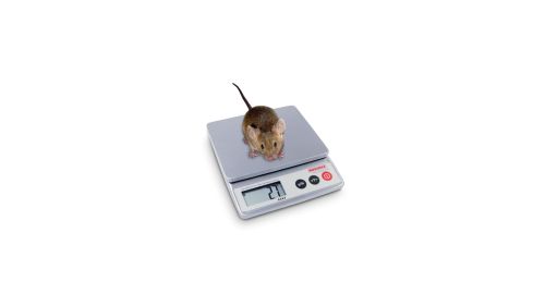 9202/9203 - Balance animaux Soehnle - acier inoxydable, dimensions 150 x 170 x 44 mm, graduation 0,1 g/1 g_0