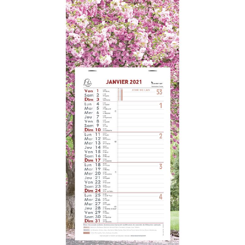 CALENDRIER MENSUEL NATURE AVEC FEUILLETS DÉTACHABLES 15,5 X 28,5 CM SUR PLAQUE IMPRIMÉE 19 X 41 CM 2022 - VISUEL - LOT DE 10