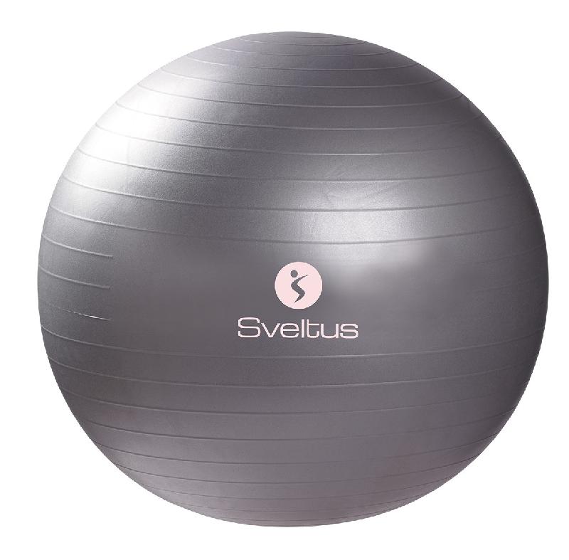 Ballon de gym 650 mm - BLLGYMPVCGR-SV03_0