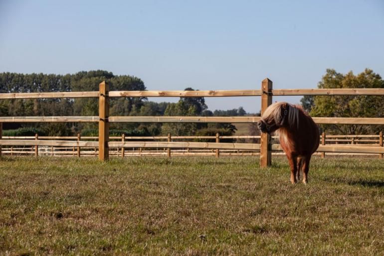 Windsor - clôture en bois pour chevaux - de sutter naturally - hauteur 1m20 à 1m30_0