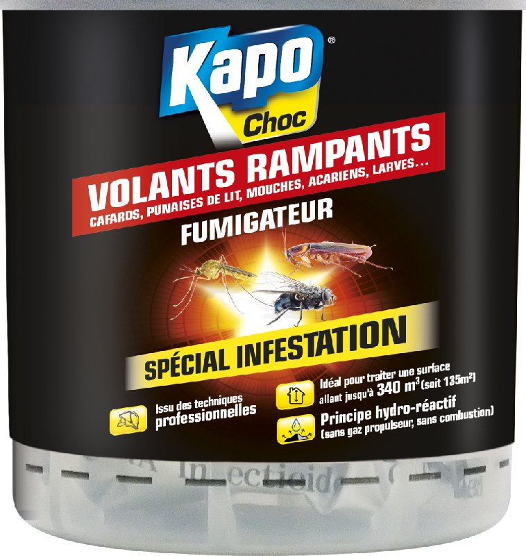 Insecticide fumigène tous insectes KAPO - 0.34 L - action longue durée pour intérieur_0