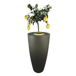 PLAST'UP ROTOMOULAGE Pot de fleurs conique delight 200l - TAUPE - marron 0669014881847_0