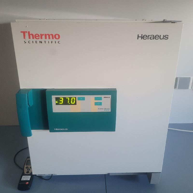 Incubateur / étuve de laboratoire THERMO SCIENTIFIC HERAEUS B6 73 Litres avec convection naturelle_0