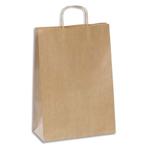 PAQUET DE 100 SACS KRAFT BRUN 110G À POIGNÉE TORSADÉES, OUVERTURE 30 X HAUTEUR 40 X SOUFFLET 12 CM