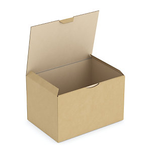 BOÎTE CARTON BRUNE D'EXPÉDITION RAJAPOST 24X17X15 CM