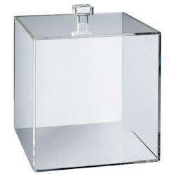 SOLIA Cube PMMA 250x250 mm avec couvercle - par 6 pièces - transparent plastique PS33445_0