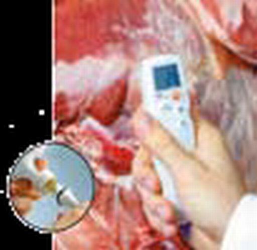 Thermomètre électronique - sonde 100 mm - réf. 041501 - précision ± 0,5°C - plage -50 à +275°C_0