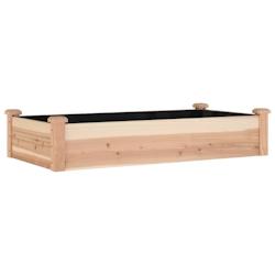 Helloshop26 - Jardinière bac lit surélevé plantes fleurs terrasse jardin de jardin doublure 120 x 60 x 25 cm bois massif sapin 02_0039836 - 3000218_0