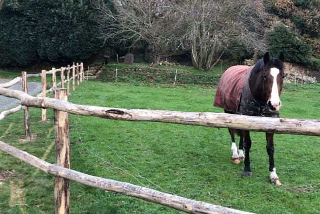 Clôture bois campagne pour chevaux - horse stop - acacia authentique, 2 lices, 1m30 - ref. Ca11200-2_0