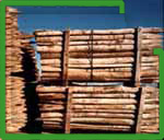 Piquet d'acacia - Pour vigne, agriculture, horticulture et clôtures - Fabrication européenne_0