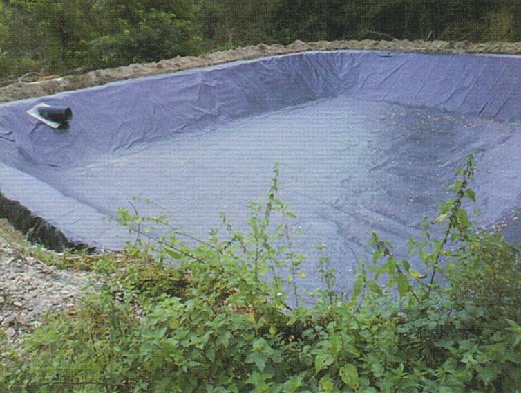 Geomembrane pour fosse a lisier_0