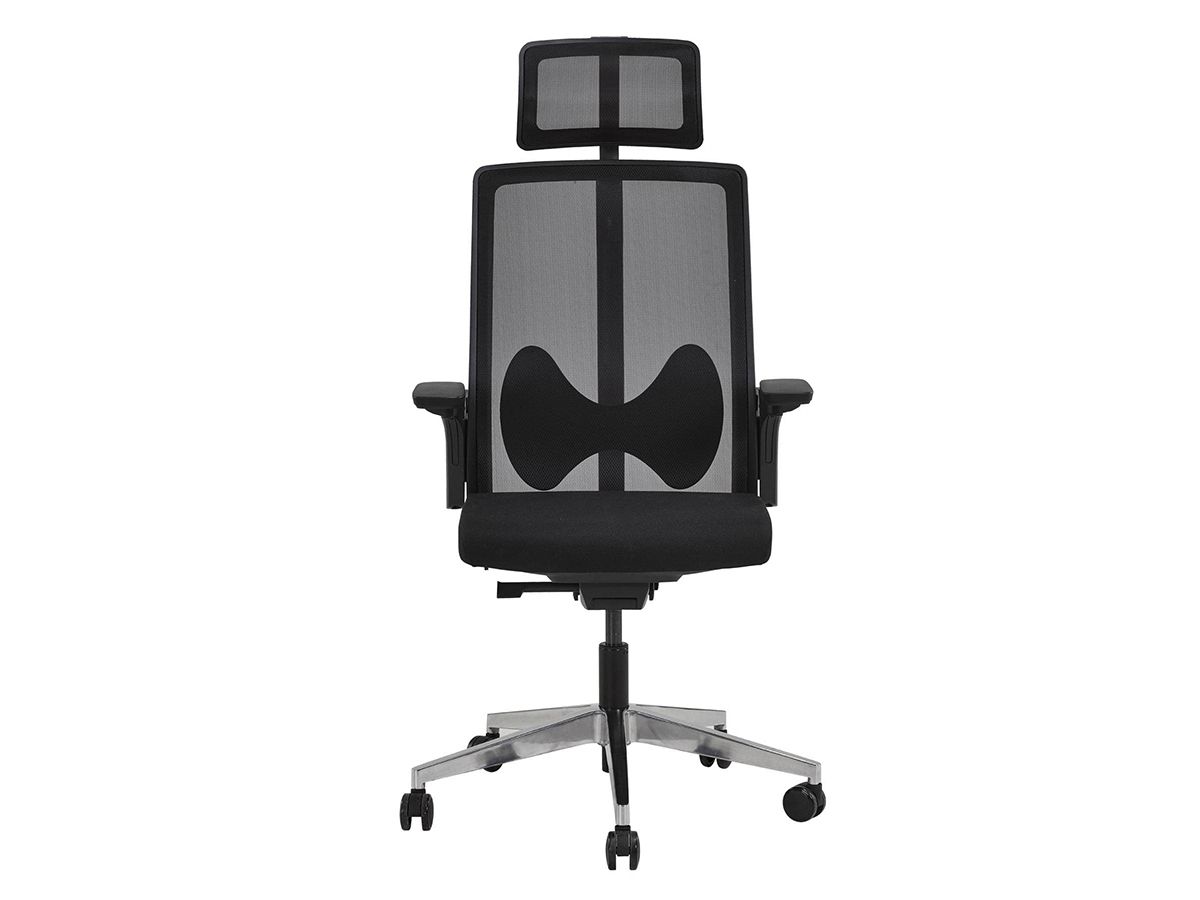 Fauteuil ergonomique tuxedo_0