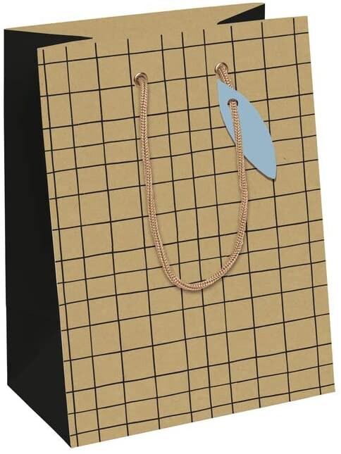 Clairefontaine Lot de 6 Sac cadeau Minimalist, petit format (17x6x22 cm), papier 210 g/m², cordelette assortie - 5033601513612_0