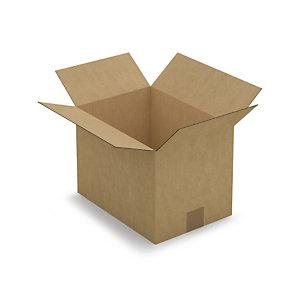 CAISSE CARTON BRUNE SIMPLE CANNELURE RAJA 31X22X22 CM