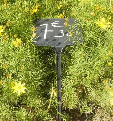 Étiquettes à planter inclinées - surface d'écriture 97x60mm - pour craie ou marqueur blanc - lot de 5_0