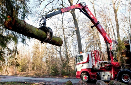 Grue forestière D28-93 - 28Tm pour bois long_0