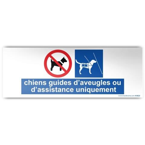 LOT DE 3 - PANNEAU D'INFORMATION : CHIENS GUIDES D'AVEUGLE OU D'ASSISTANCE UNIQUEMENT, MODÈLE 1 (210 X 75 MM, PVC)