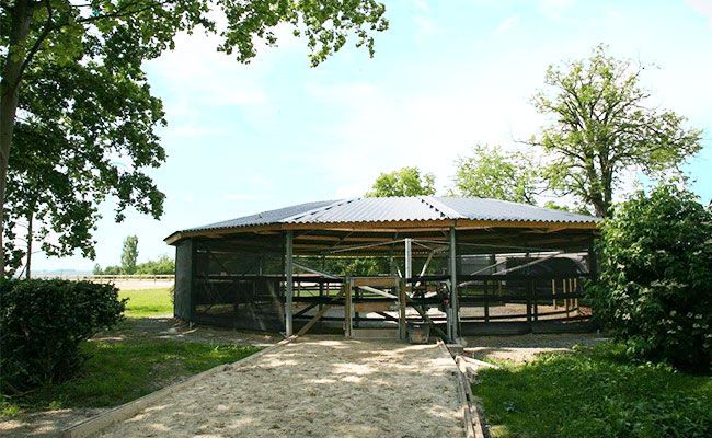 Marcheur pour chevaux version Premium - Structure en IPE acier - 5 mètres de large_0