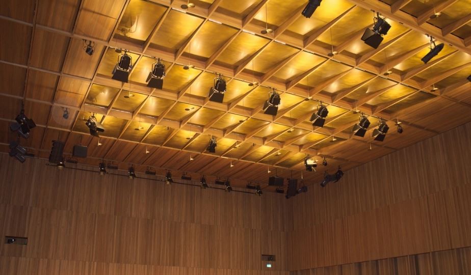 Wkdv/ehf - plafond chauffant - kst ag - plafond chaud avec placage en bois_0