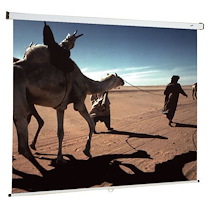 ECRAN MURAL MANUEL ORAY 200 X 200 CM