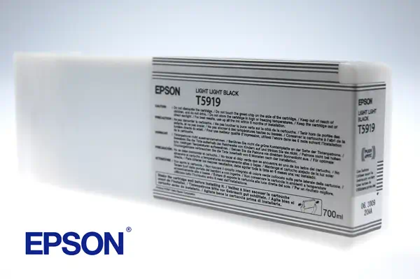 Epson Encre Pigment Gris très Clair SP 11880 (700ml)_0