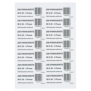 ÉTIQUETTE D'ADRESSAGE RAJA 63,5X38,1 MM