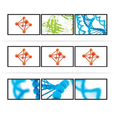 Répartiteur DisplayPort 1.2 à  3 ports, Adaptateur Multi-Moniteur DisplayPort vers 3x DP, Hub MST Dou_0