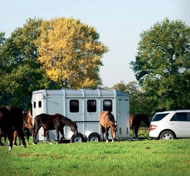 Bétaillère - Vans Bockmann - tenue de route irréprochable et options de confort pour chevaux_0