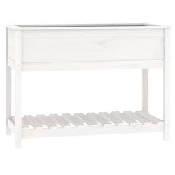 Helloshop26 - Jardinière bac lit surélevé plantes fleurs terrasse jardin avec étagère 111,5 x 54 x 81 cm bois massif de pin blanc 02_0038386 - 30_0