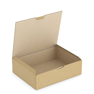 BOÎTE CARTON BRUNE D'EXPÉDITION RAJAPOST 28X22X8 CM
