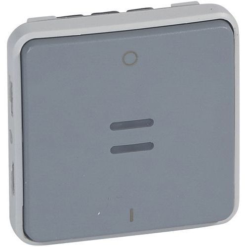 INTERRUPTEURS 10 AX - 250 V INTER BIPOLAIRE TÉMOIN -GRIS - LEGRAND