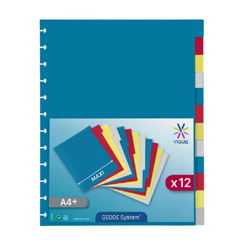 INTERCALAIRES VIQUEL GEODE - 12 DIVISIONS - POLYPROPYLENE - COLORIS ASSORTIS